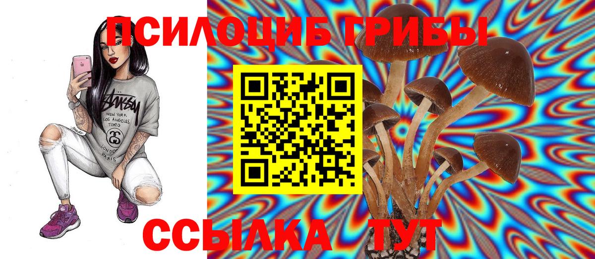 Псилоцибиновые грибы GOLDEN TEACHER Хабаровск